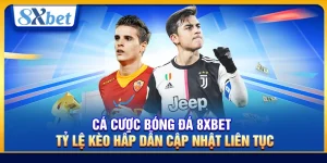 Cá Cược Bóng Đá 8xbet – Tỷ Lệ Kèo Hấp Dẫn Cập Nhật Liên Tục