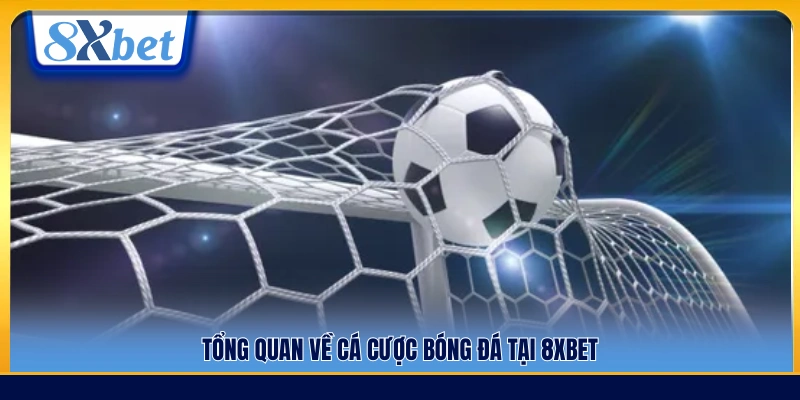 Khái quát về hình thức cá cược bóng đá 8xbet 