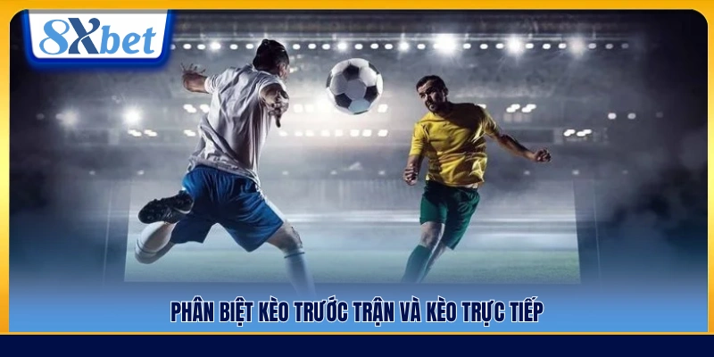 So sánh tỷ lệ giữa các loại kèo trong cùng trận đấu